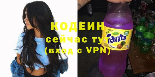 прущие грибы Осинники