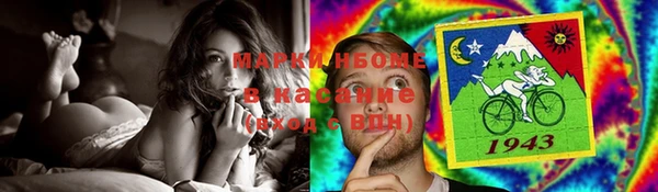 прущие грибы Осинники