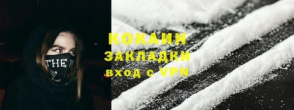 прущие грибы Осинники