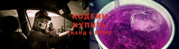 прущие грибы Осинники
