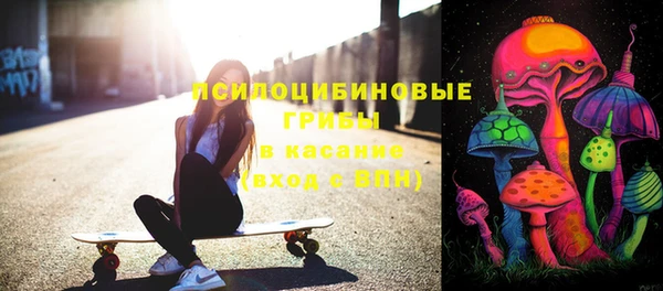 прущие грибы Осинники