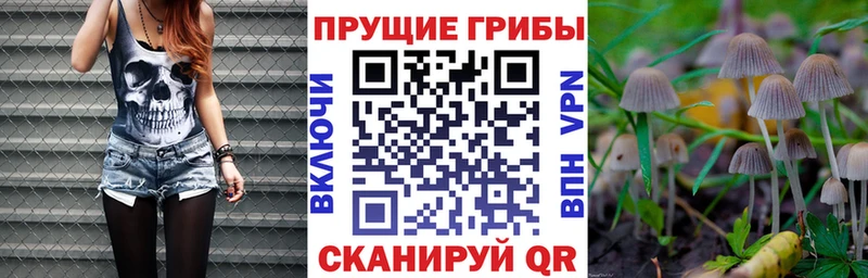 Купить  Ивангород  Галлюциногенные грибы Psilocybine cubensis 
